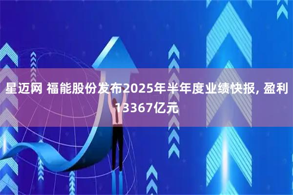 星迈网 福能股份发布2025年半年度业绩快报, 盈利13367亿元