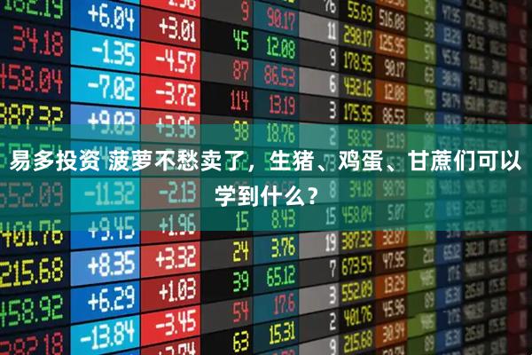 易多投资 菠萝不愁卖了，生猪、鸡蛋、甘蔗们可以学到什么？