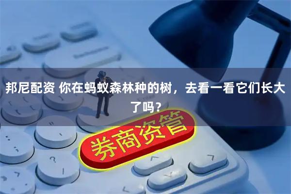 邦尼配资 你在蚂蚁森林种的树，去看一看它们长大了吗？